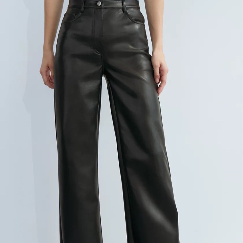 Aritzia Black Leather Pants